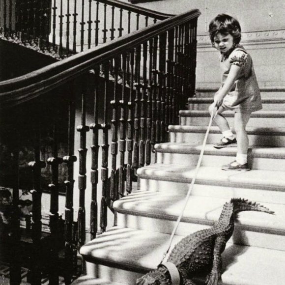 Meet your Posher, Sharon - Picture 8 of 8